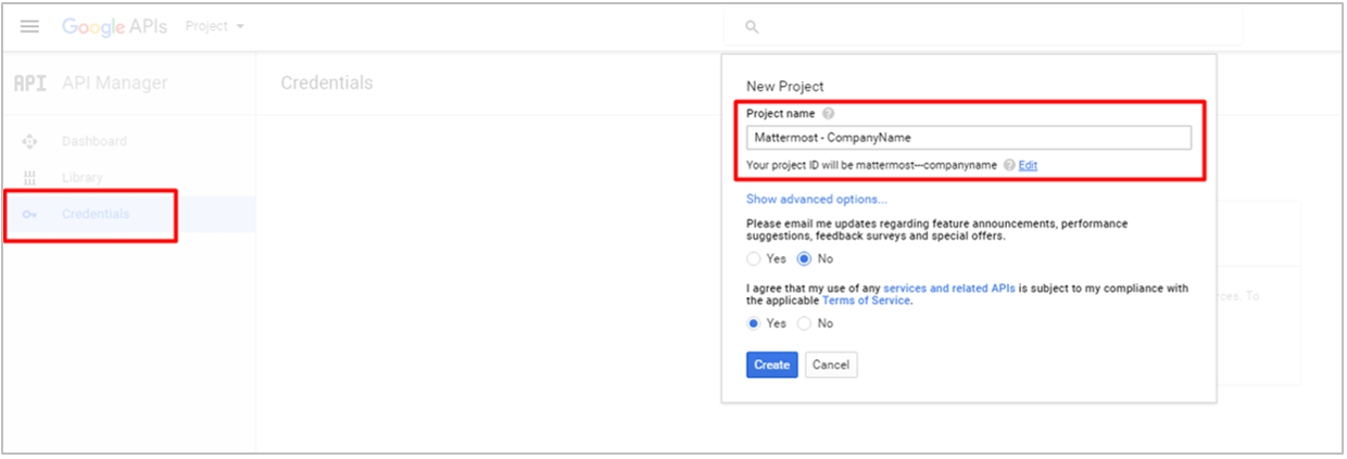 ../_images/google_1_credentials.png
